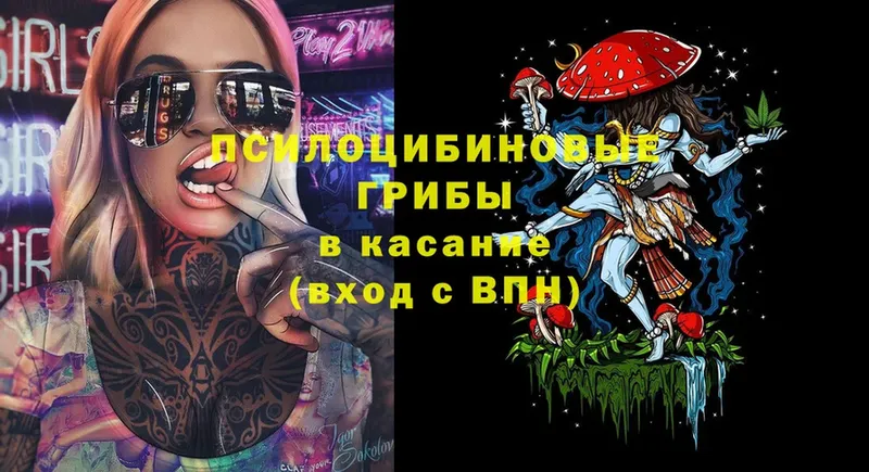 Галлюциногенные грибы Magic Shrooms  купить наркотик  Котово 